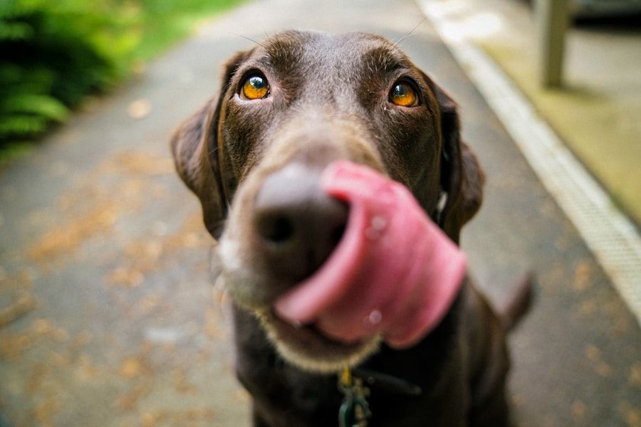 If I sniff it, it's mine. End of story.