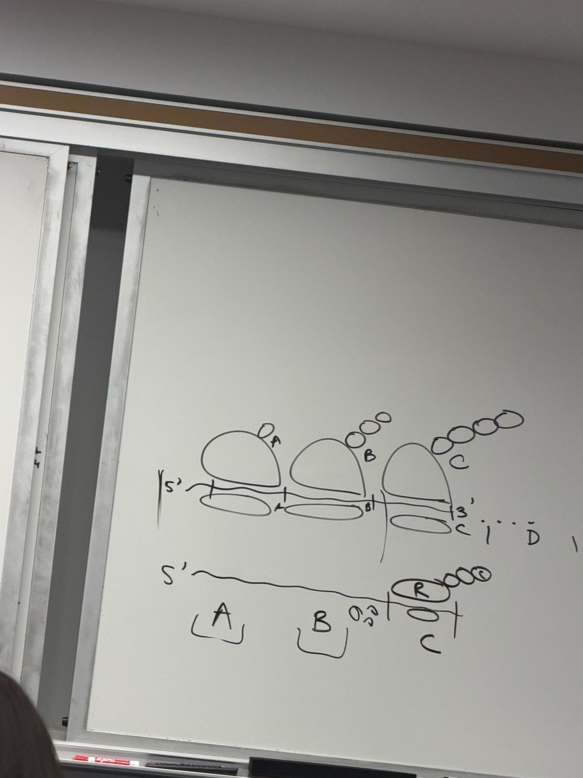 These molecular chefs are straight up mid at cooking proteins.