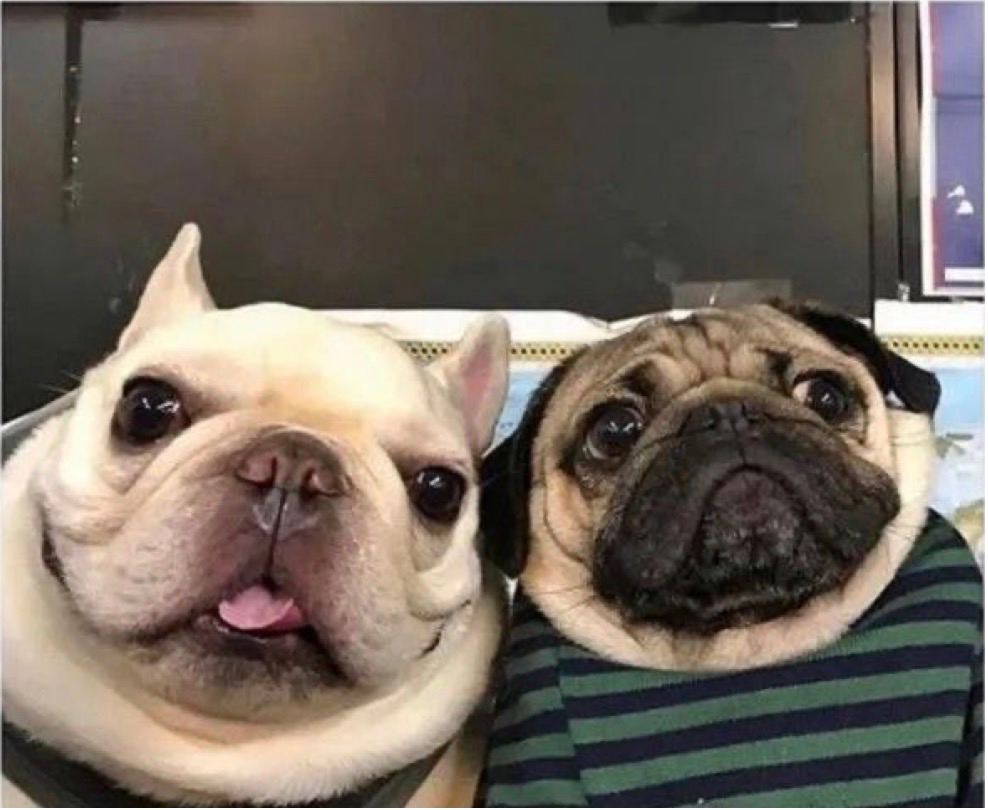That moment when your friend is on a sugar rush and you're just trying to survive the chaos.