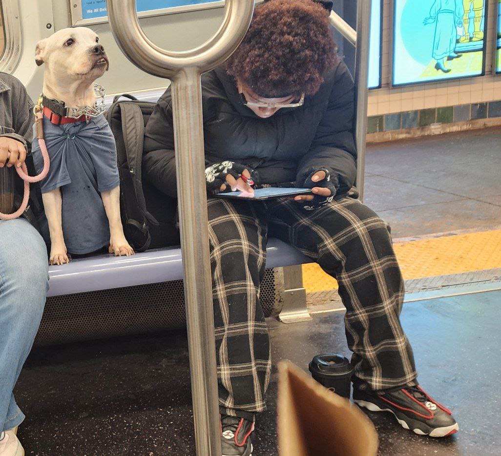 Human, why are you swiping? I'm the real catch here.