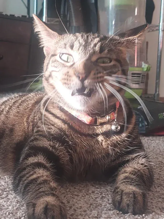 Caught mid-sneeze realizing rent's due and you're living paycheck-to-paycheck