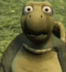 Watching you flirt is like watching this turtle try to race.