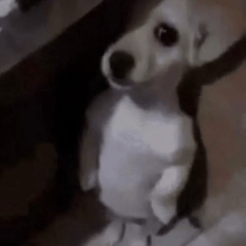 In this amusing image, we see a small dog standing upright, showcasing an adorable yet comical expression. Its wide eyes and slightly tilted head suggest a mixture of curiosity and surprise, as if it's just overheard a juicy secret or is trying to comprehend the human world from this elevated perspective. The background is dimly lit, possibly hinting at a cozy indoor setting, which adds an element of mystery to the dog's stance—what has caught its attention?
This anthropomorphic pup appears ready to engage in a conversation, perhaps pondering the complex question of why humans insist on using those strange devices called phones. The humor lies in its serious demeanor while performing such a silly act, reminiscent of popular memes that often portray pets in human-like scenarios. Overall, the image captures a delightful moment of canine curiosity, perfectly blending humor and charm.