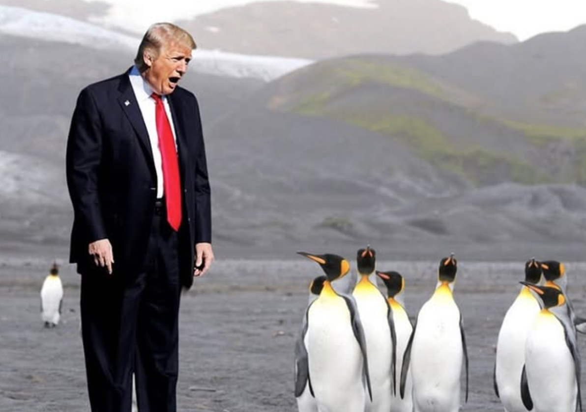 This humorous, photoshopped image features Donald Trump, dressed in a dark suit and signature red tie, standing on a desolate, dark grey landscape reminiscent of a volcanic or polar region. He has a wide-open mouth, appearing to be shouting or expressing extreme surprise. In front of him, a group of King Penguins stands, seemingly unfazed or curiously observing him. Another lone penguin is visible in the distant background. The backdrop consists of barren, dark hills with hints of green and distant snow-capped peaks, suggesting a remote, cold environment. The humor stems from the absurd juxtaposition of a former president in formal attire interacting with penguins in an unexpected, wild setting, creating a classic meme-like scenario where his dramatic expression contrasts with the penguins' calm demeanor.