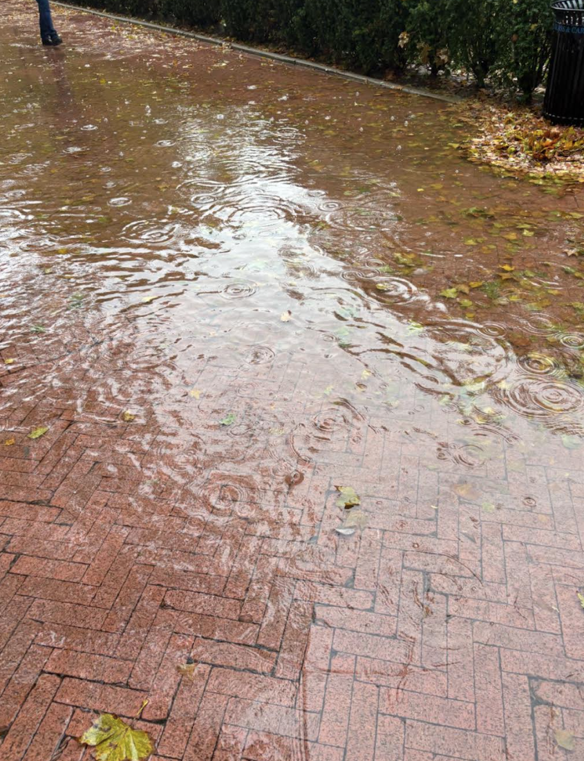 Pathway out here lowkey drowning, I’m dead.