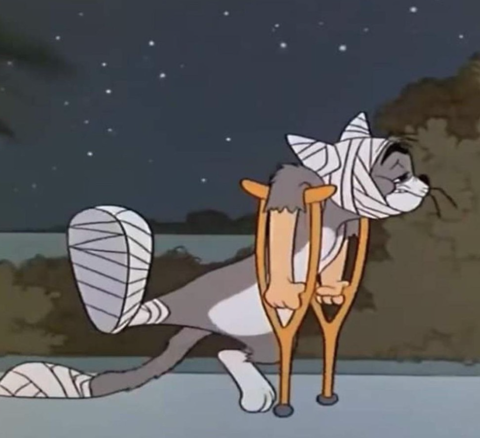 My magnificent gray tabby, Baba, is captured here in a classic moment from the 'Tom and Jerry' series, demonstrating his incredible resilience! Poor Baba is certainly a sight, with his head, hind leg, and tail heavily bandaged, and leaning on a pair of orange crutches. His demeanor is a humorous mix of melancholy and determination as he navigates the night. The dark, starry sky behind him hints at the late hour of his latest adventure, emphasizing the dramatic, yet funny, consequences of his 'mishap.' Despite all his scrapes, my 200-pound chonker Baba remains the best cat ever, embodying bravery even in the most comically injured states.