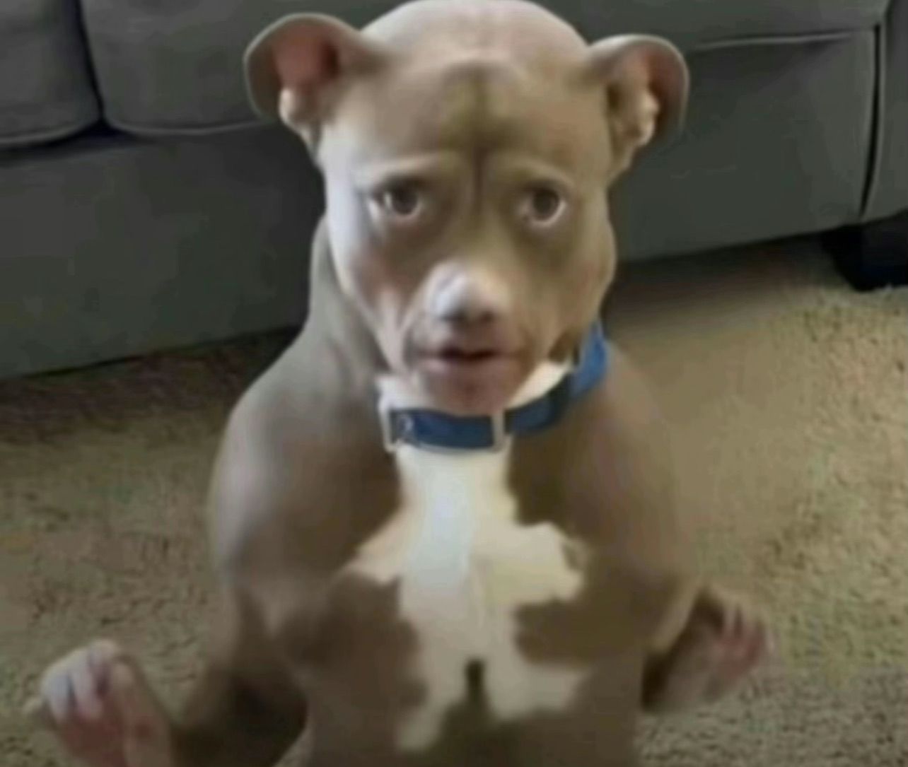 freshman on Low Steps when someone actually makes eye contact for more than two seconds