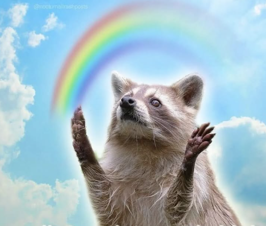 me every time the sky does something mildly pretty