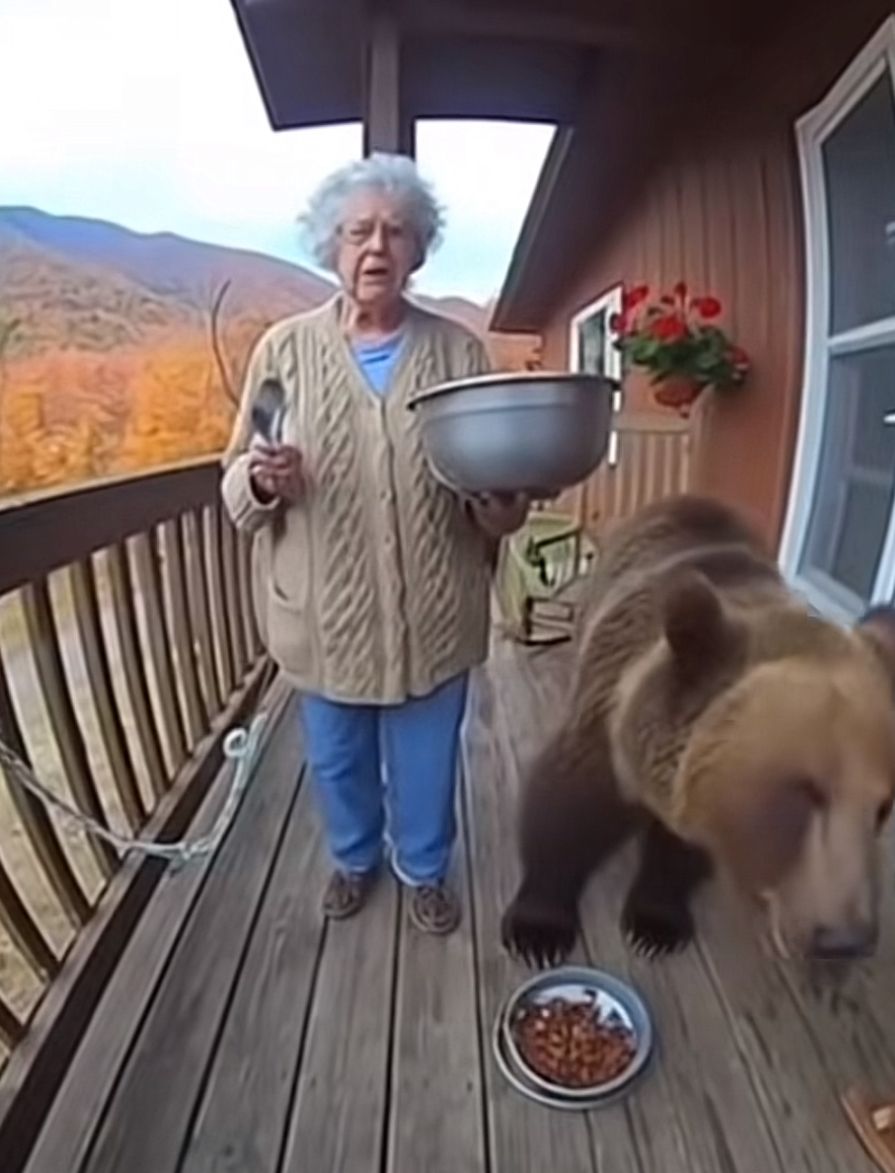 Bear’s like, ‘Can’t I have a snack feeling?’ Grandma’s over it!