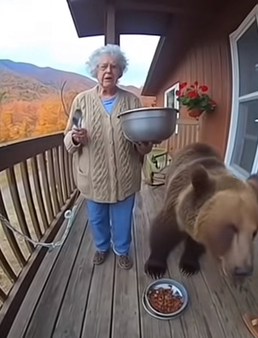 An elderly woman with white curly hair and glasses stands on a wooden deck, holding a large metal bowl and spoon, looking directly at the camera with a slightly surprised or stern expression. Beside her, a large brown bear calmly focuses on a bowl of food on the deck, seemingly awaiting its next course. The scene unfolds on a rustic cabin's porch, with a railing separating the foreground from a breathtaking backdrop of mountains ablaze with autumn colors. The humorous juxtaposition of a seemingly ordinary grandmother feeding a wild bear like a pet, against the serene wilderness, creates an amusing and unexpected domestic moment. The background directly explains the bear's presence in this unusual backyard dining experience.