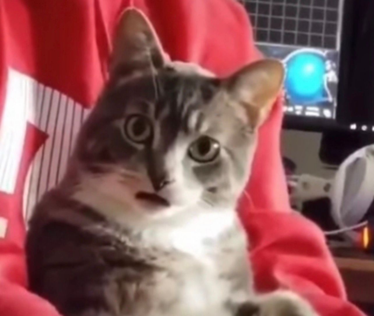 realizing the assignment has 12 more pages an hour before it is due