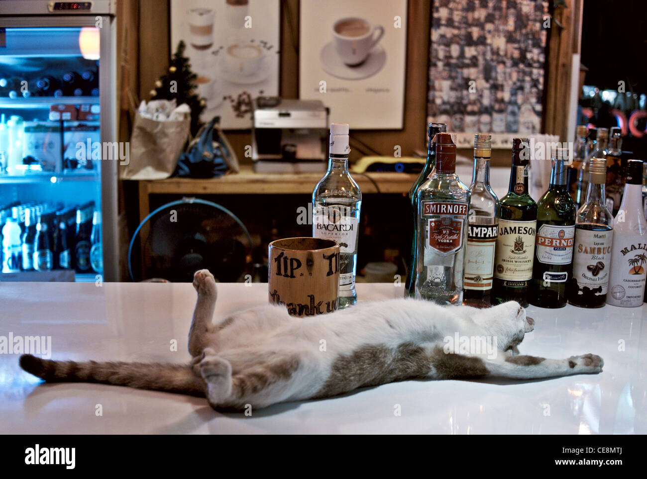 When the bartender is more relaxed than you at your own party.