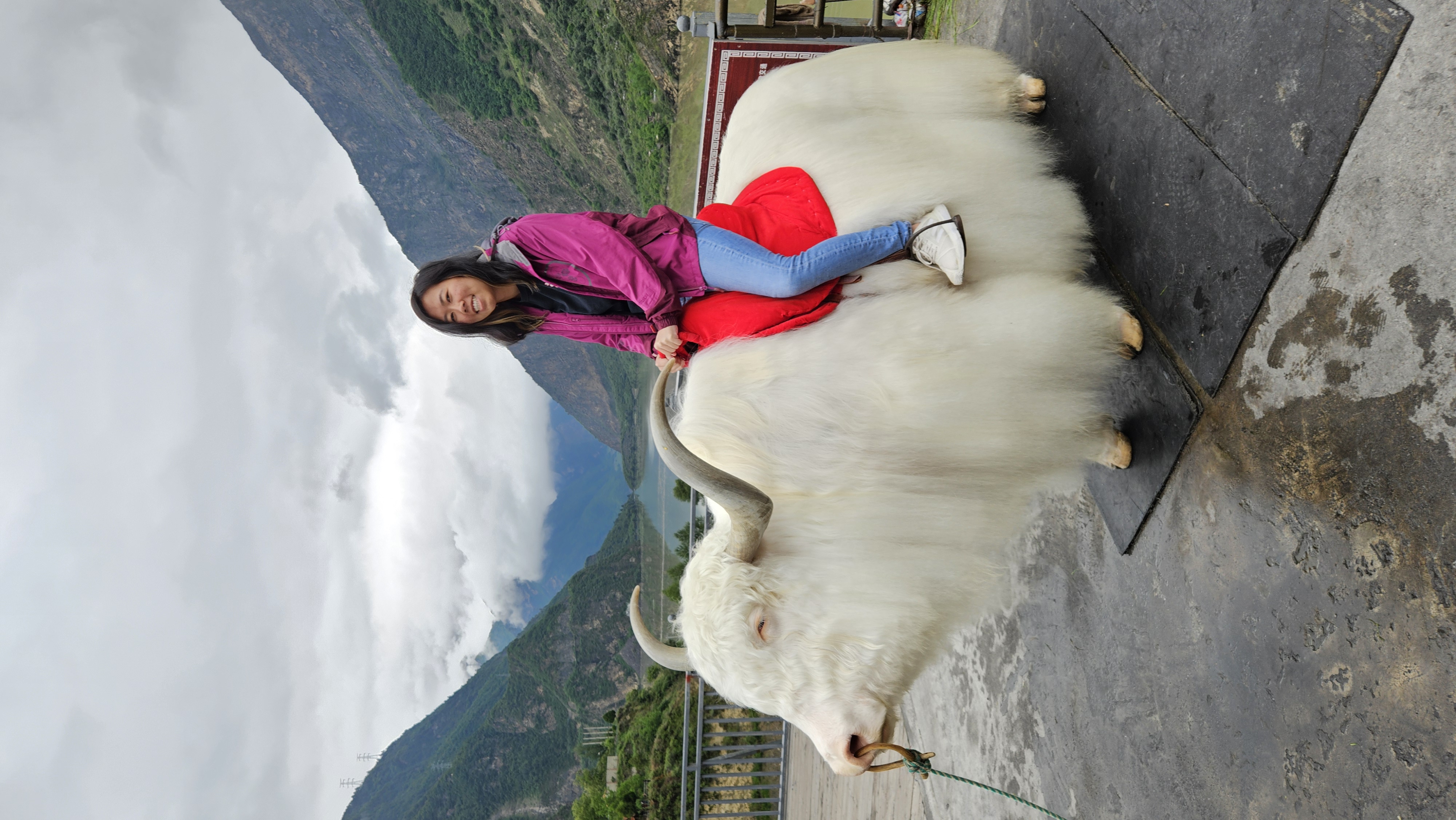 When you finally meet the yak from your yoga mat cover.