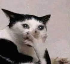 This close-up image features a black and white cat, famously known as the "Crying Cat" meme, displaying an intensely anthropomorphized expression of profound sadness. Its eyes appear watery and red-rimmed, with a downturned mouth and furrowed brow, giving the impression it's on the verge of tears or actively weeping. One paw is comically raised to its face, as if wiping away a tear or expressing deep distress. The plain, light-colored background is intentionally nondescript, serving only to highlight the cat's exaggerated and emotionally charged demeanor. This iconic internet meme is often used humorously to convey overwhelming disappointment or sorrow, making the cat's dramatic display both relatable and amusing.