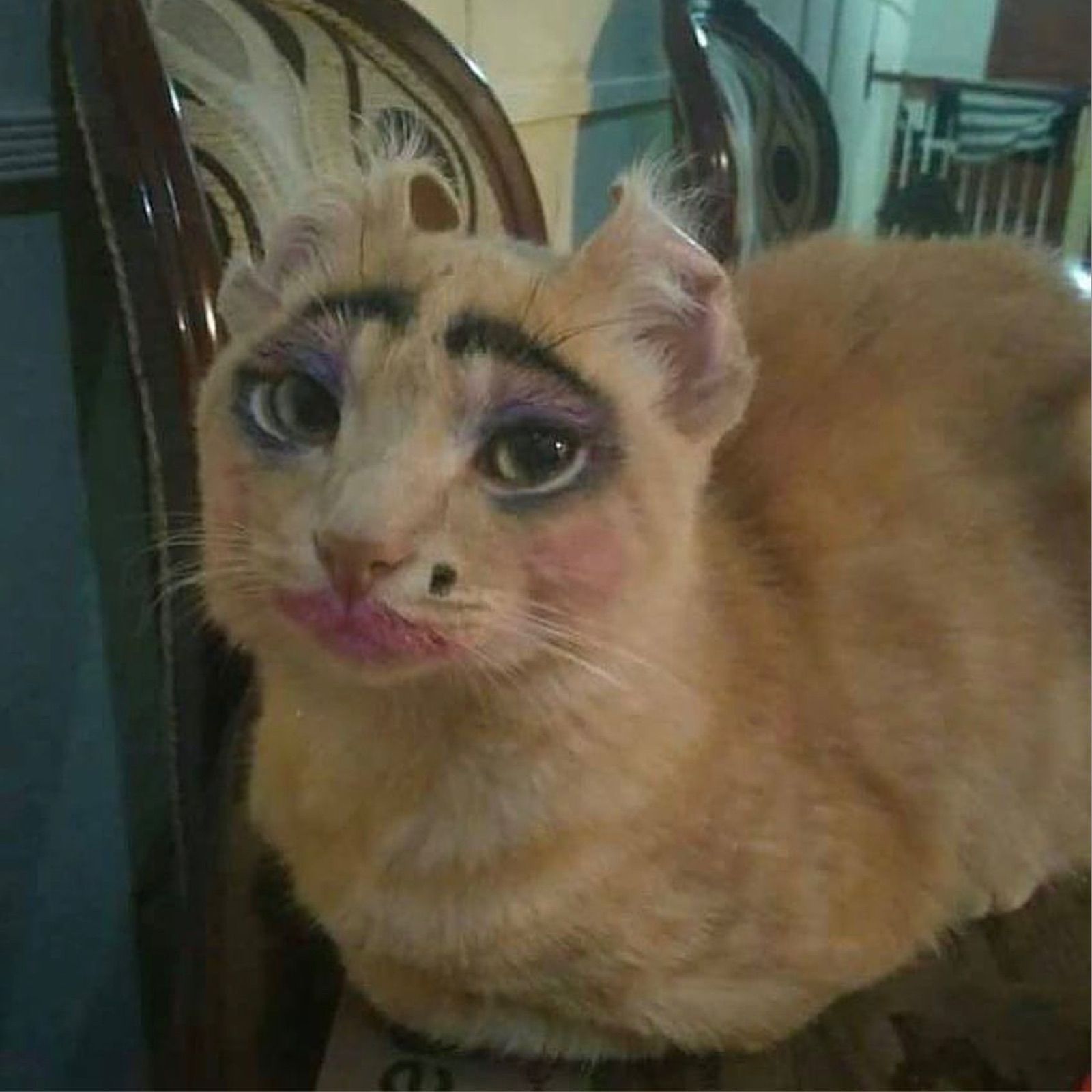 This humorous image captures an orange cat, seemingly bewildered, adorned with an exaggerated human makeup application. The feline subject sports thick, drawn-on black eyebrows, vibrant purple eyeshadow, pink blush on its cheeks, and bright pink lipstick, giving it a comically pouty expression. Its wide eyes convey a mix of confusion and mild resignation, as if it's reluctantly modeling a child's artistic endeavor. The cat is perched on a wooden chair with a decorative backrest, set against a blurry, nondescript indoor background. The domestic setting reinforces the playful, mischievous context of a pet's unexpected makeover, making the cat's 'glam' look even more absurd and amusing.