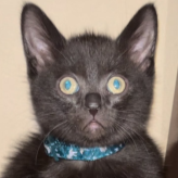When you hear the professor say 'We have an exam next week' and your coffee hasn't kicked in yet.
