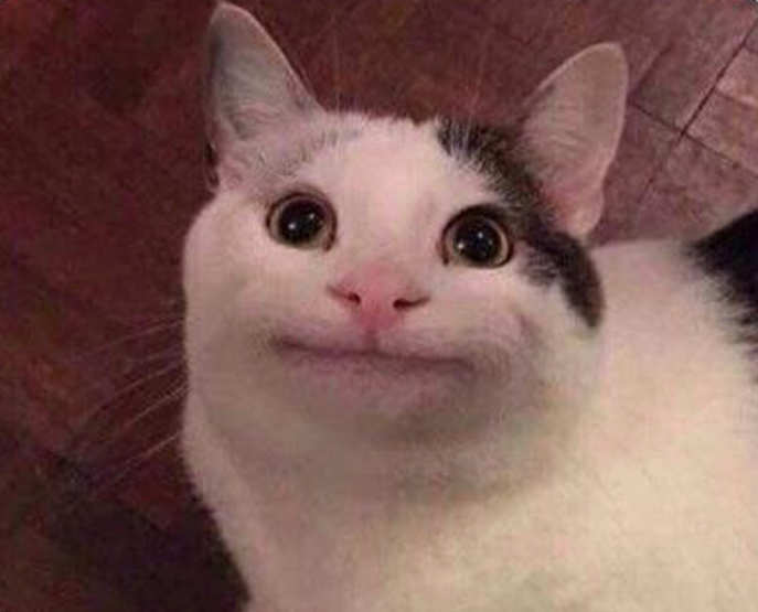 The image features a cat with a peculiar expression, characterized by large, round eyes and a wide, distorted smile. This unusual facial expression gives the cat an almost comical and endearing demeanor, evoking humor and curiosity. The background appears to be a wooden floor, adding a warm, homely context to the scene. 

This image represents the "Smiling Cat" meme, a well-known internet format often used to convey humorous or ironic situations. The cat's exaggerated smile and wide-eyed gaze playfully exaggerate emotions, making it relatable for various humorous captions. The charm of the image lies in its ability to evoke laughter and a sense of joy, making it a beloved choice for meme enthusiasts.