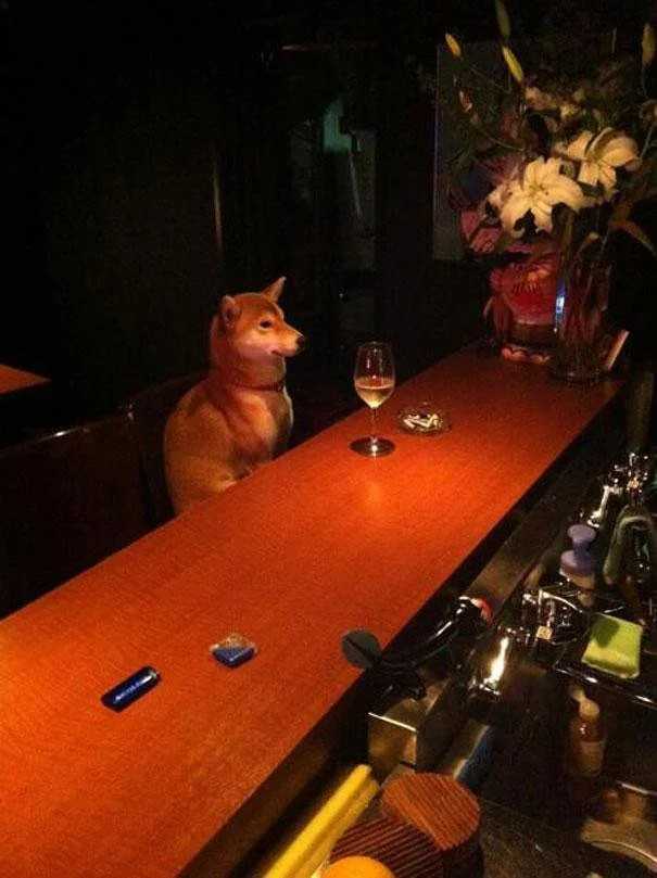 A charming Shiba Inu, famous for the 'Doge' meme, is captured in a dimly lit bar, sitting upright at a polished wooden counter. The dog's demeanor is remarkably pensive, almost as if contemplating deep philosophical questions while patiently waiting for service. A half-full glass of white wine sits before it, adding to the humorous anthropomorphic scene. In the background, a vase of elegant white lilies and other floral arrangements adorns the bar, suggesting a sophisticated, yet surprisingly dog-friendly, establishment. The overall context is a delightful, surreal moment of a canine enjoying a very human-like night out, perhaps unwinding after a long day of being a good boy.