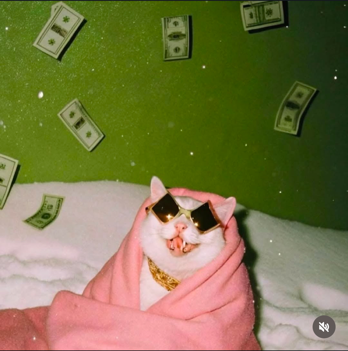 That cat's chain is more real than your personality.
