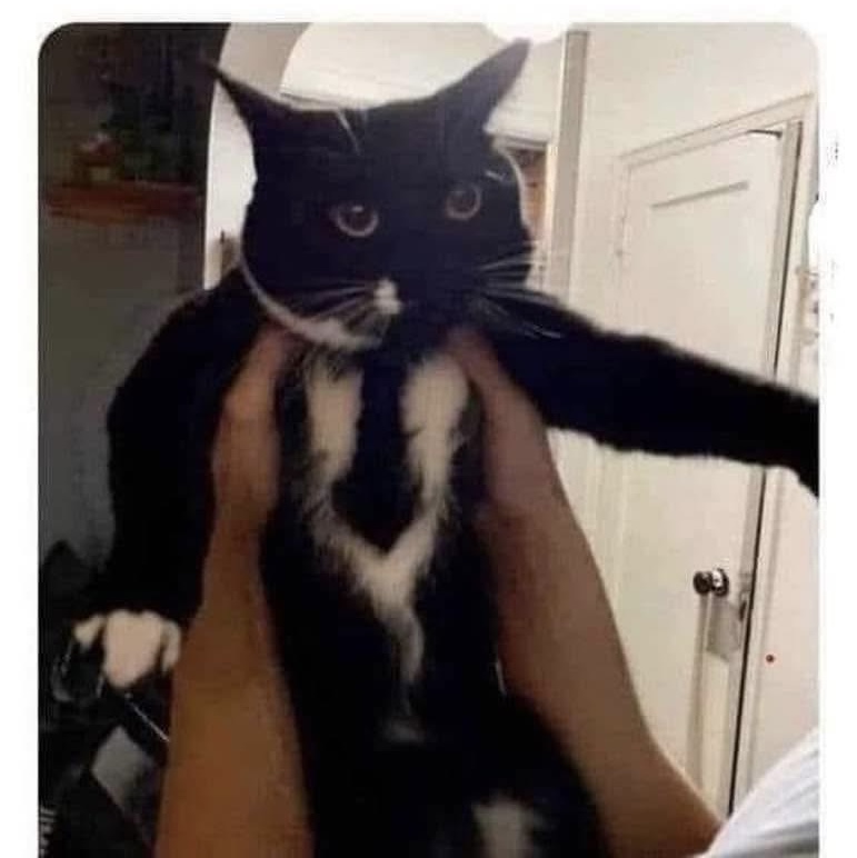 Trying to impress your Tinder date like: 'Look at my kingdom, aren't I majestic?'