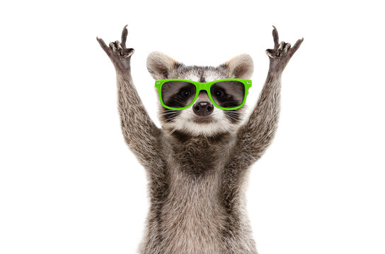 The only thing more extra than those sunglasses is your personality.