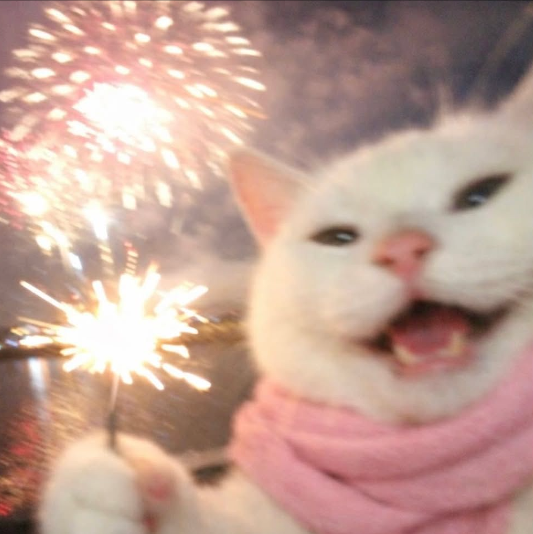 when the elevator arrives the second i press the button