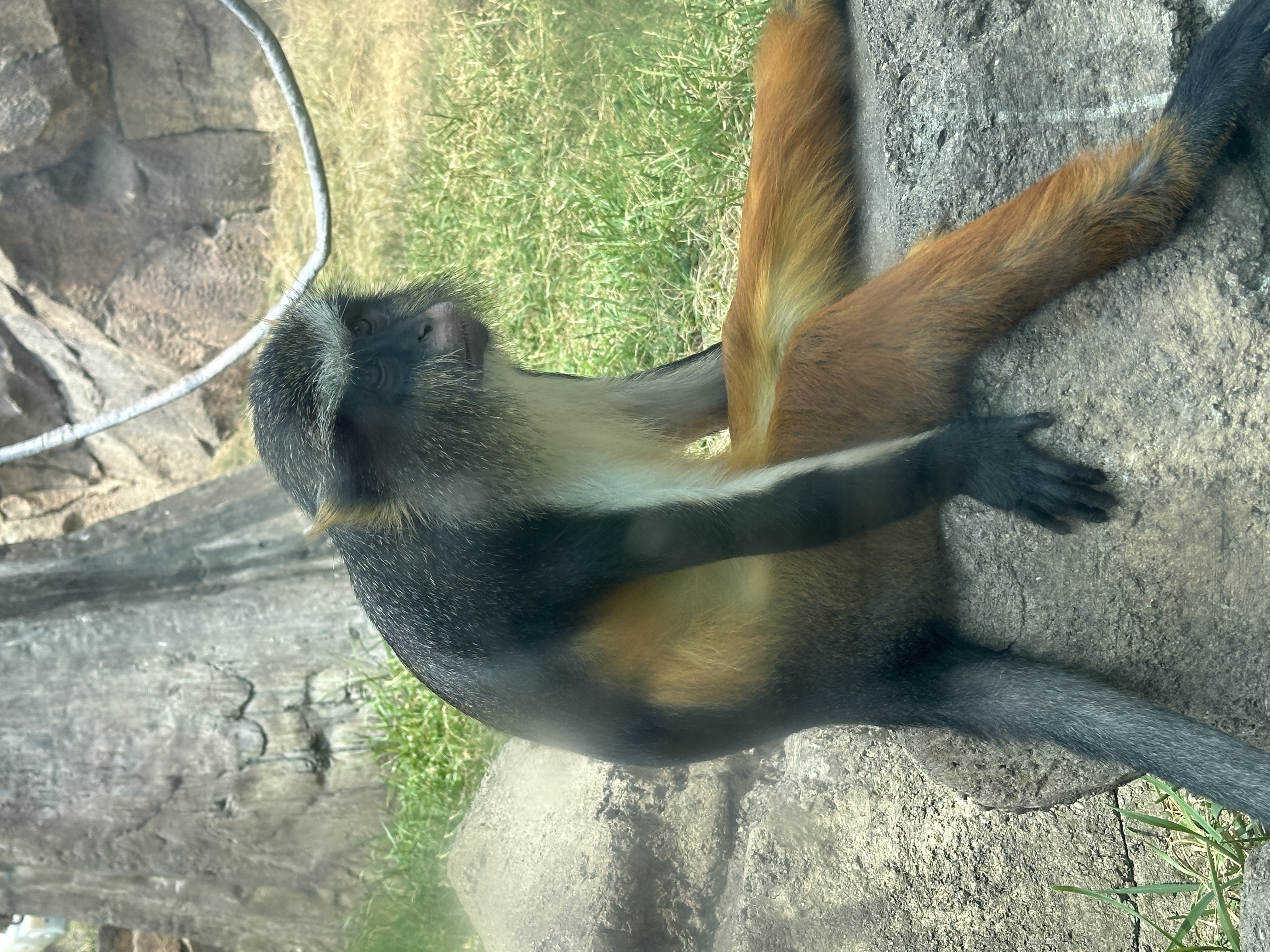 "Sure, you have a white beard, but you still can't grow up!" - Your mom, probably.