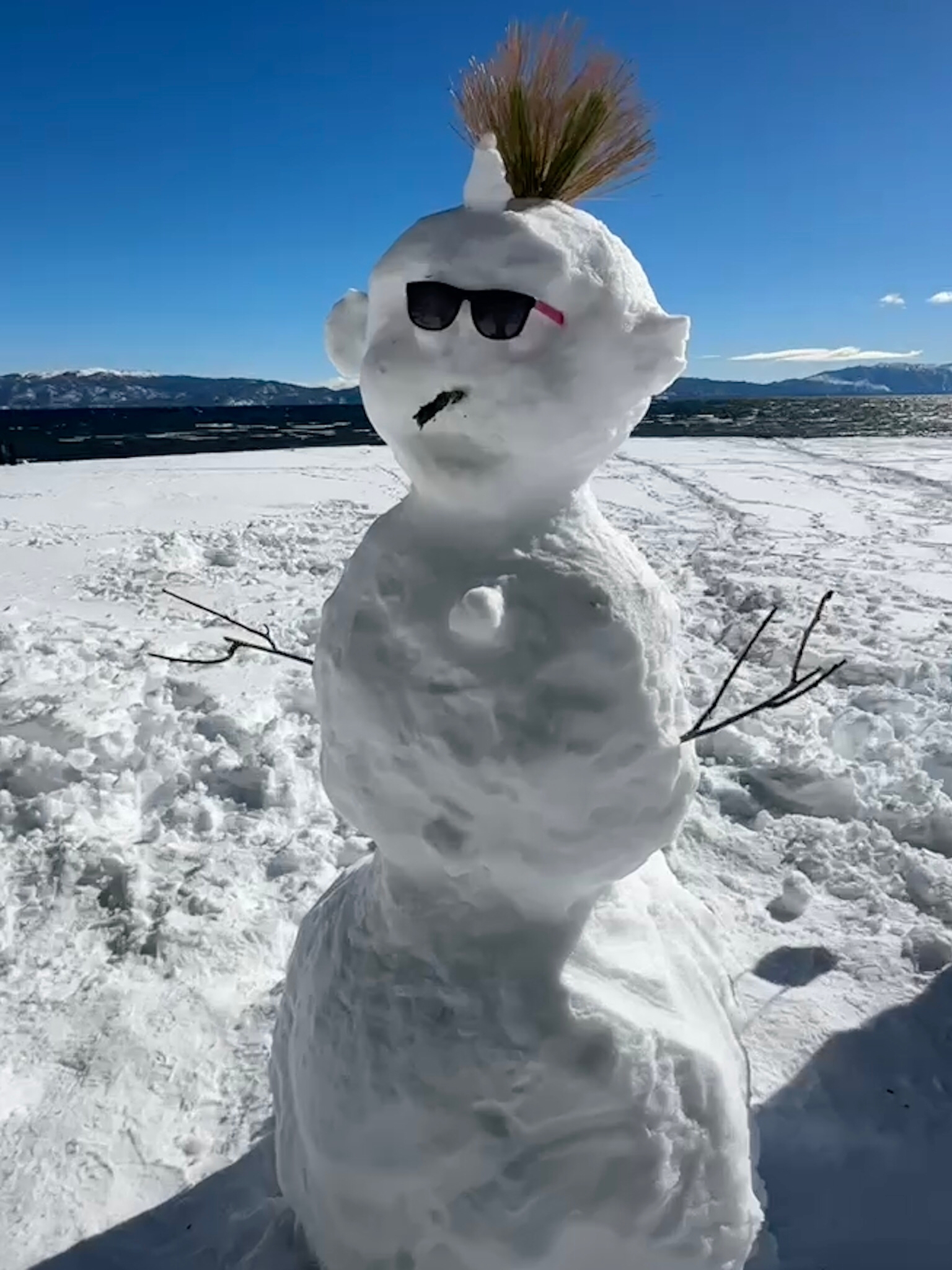 POV: You're a snowman tired of small talk about the weather.