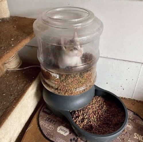 That moment you realize your side hustle is a trap.