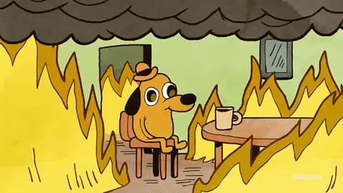 Stoic dog: accept the flames, keep drinking the coffee.