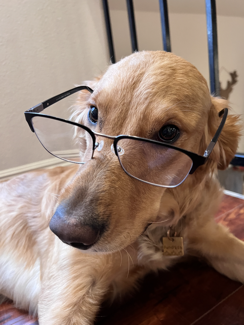 When you accidentally join the wrong webinar.