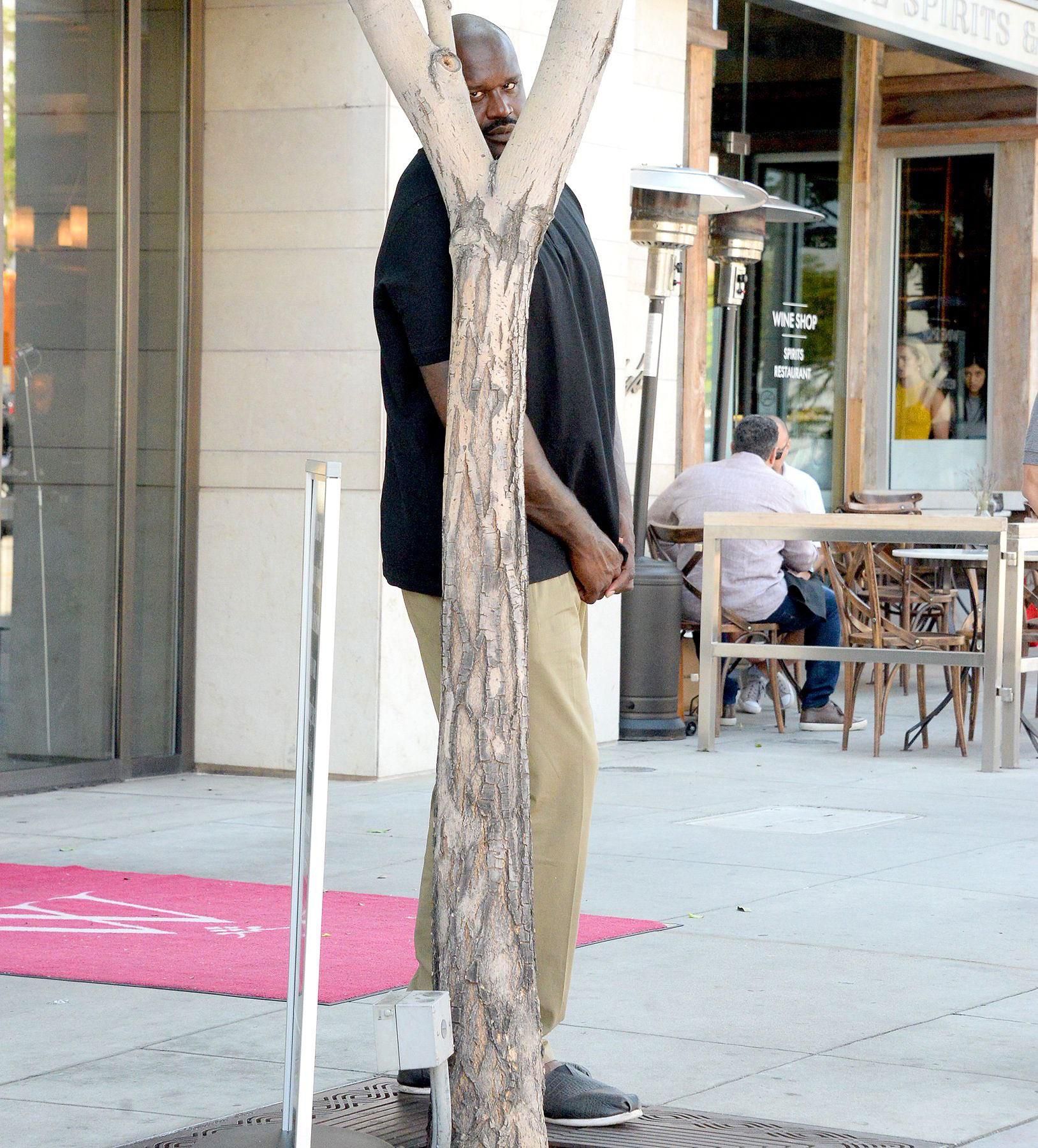 The image captures NBA legend Shaquille O'Neal in a famously humorous pose, attempting to 'hide' behind a slender tree trunk on a city sidewalk. Dressed in a black t-shirt and khaki pants, Shaq's immense stature makes his effort to conceal himself comically futile, with much of his body visible. His demeanor is a mix of playful seriousness, as he peeks directly at the viewer from behind the tree, creating the iconic 'Shaquille O'Neal peeking from behind a tree' meme. In the background, a bustling street scene unfolds with a 'WINE SHOP SPIRITS RESTAURANT' and outdoor diners, further emphasizing the public and conspicuous nature of his 'stealth' attempt. The contrast between his size and the tree, coupled with the public setting, makes this a classic visual gag.