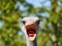 When you remember you had homework due at 11:59pm and it’s 11:58pm