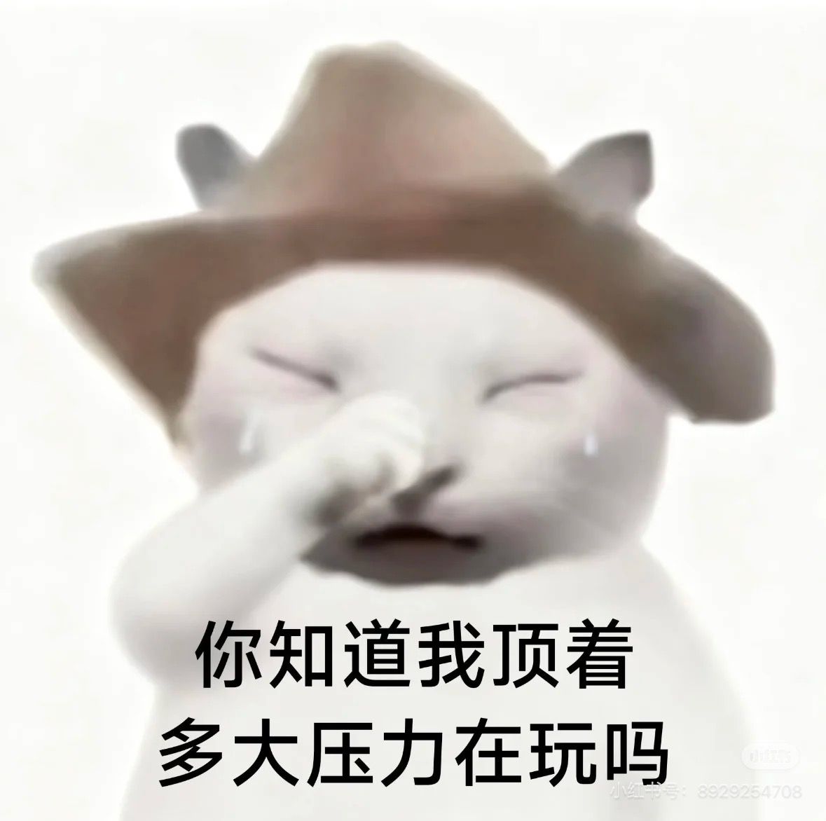 This image features a highly expressive, anthropomorphic white cat wearing a brown cowboy hat, its face contorted in an exaggerated cry. Tears stream down its cheeks, and one paw is raised to its face, conveying immense distress or overwhelm. The plain white background isolates the subject, emphasizing its dramatic demeanor. The Chinese text translates to "Do you know how much pressure I'm under to play?", humorously contrasting the cute cat with a relatable feeling of intense stress, often used in gaming or daily life memes. This popular internet meme captures the comedic irony of feeling overwhelmed by seemingly simple tasks.