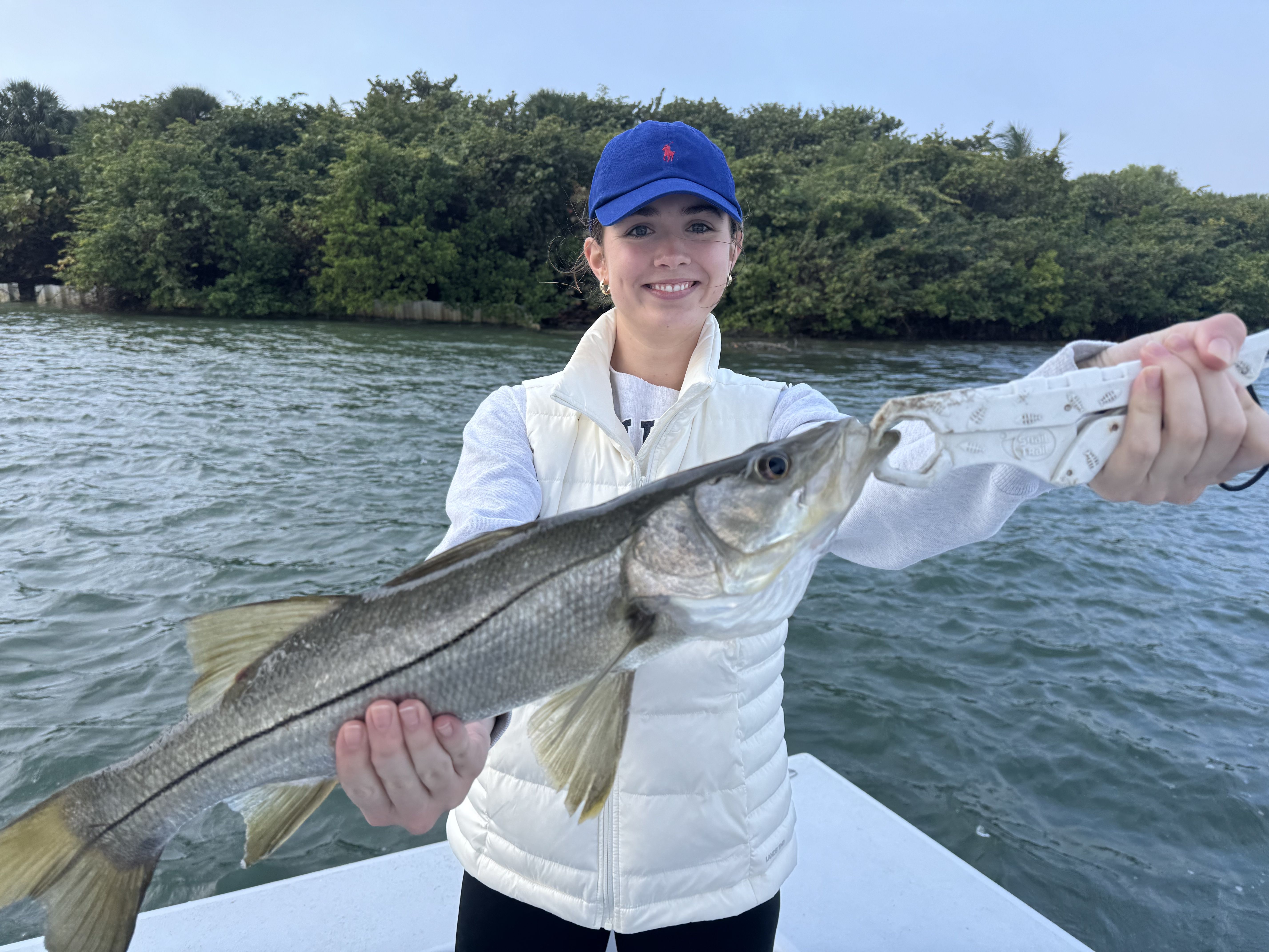 A young woman with a radiant smile proudly presents a large snook she's caught, holding it firmly with a white fish gripper. She wears a blue baseball cap with a red polo logo, a white quilted vest, and a grey long-sleeved shirt, exuding a sense of accomplishment. The background features calm, rippling water, suggesting a tranquil river or bay, bordered by a dense line of lush green trees and mangroves under a clear, light blue sky. This natural setting perfectly complements the fishing theme, highlighting a successful outdoor adventure. The fish, held by its mouth, appears to be comically resigned to its fate, perhaps already dreaming of being the 'one that got away' in a future tall tale. No famous content or recognizable figures are present in this image.