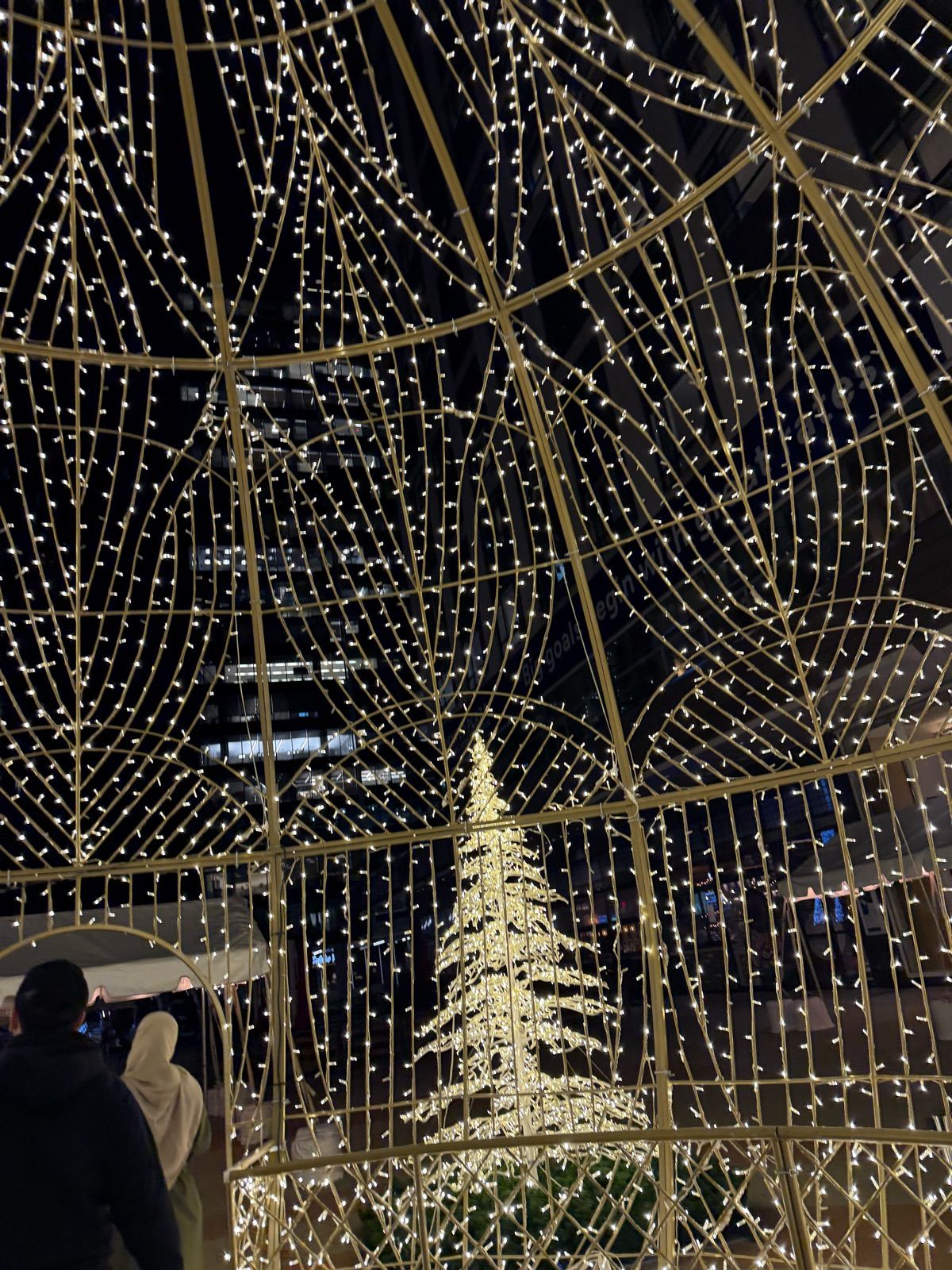 This Christmas tree trapped in a light cage is straight cooked.