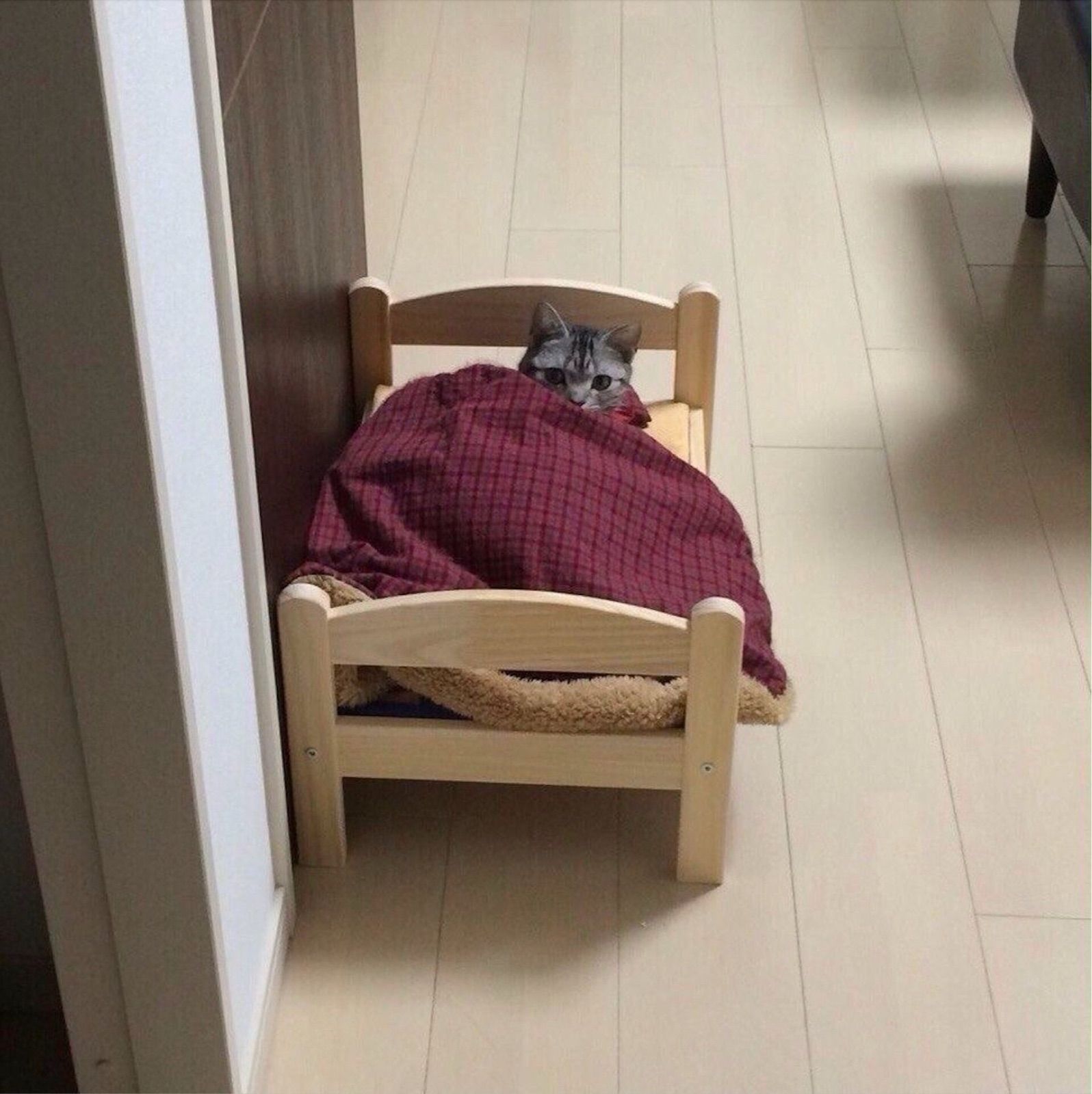 Literally how I look waiting for fire alarms to end
