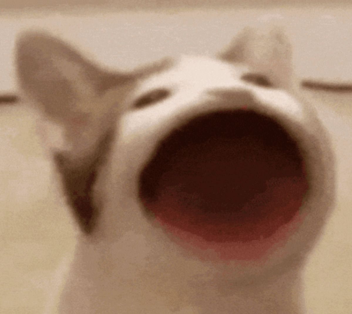 Seeing my schedule after add/drop chaos hits different.