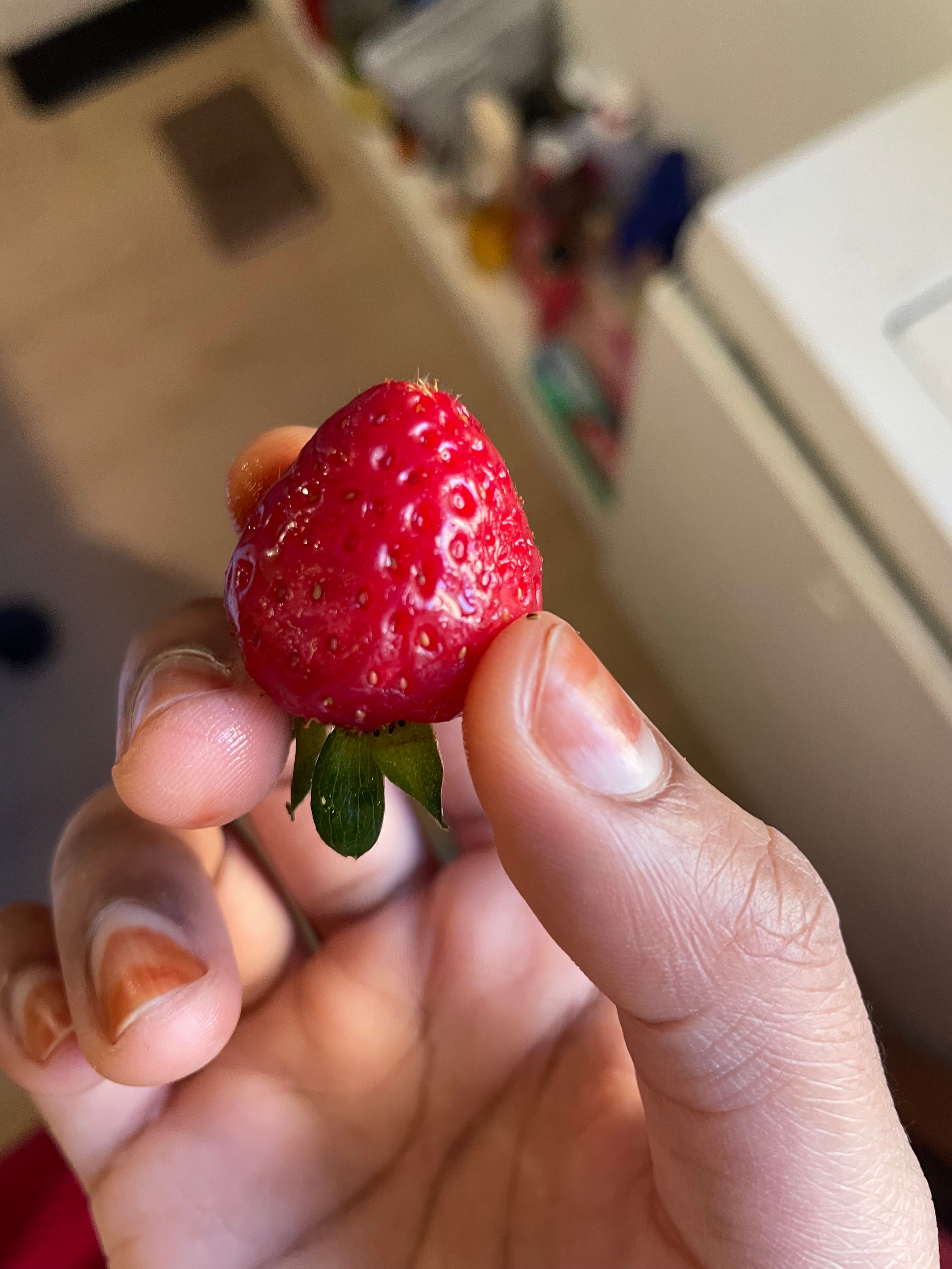 This strawberry thinks it’s the GOAT of fruit, delulu much?