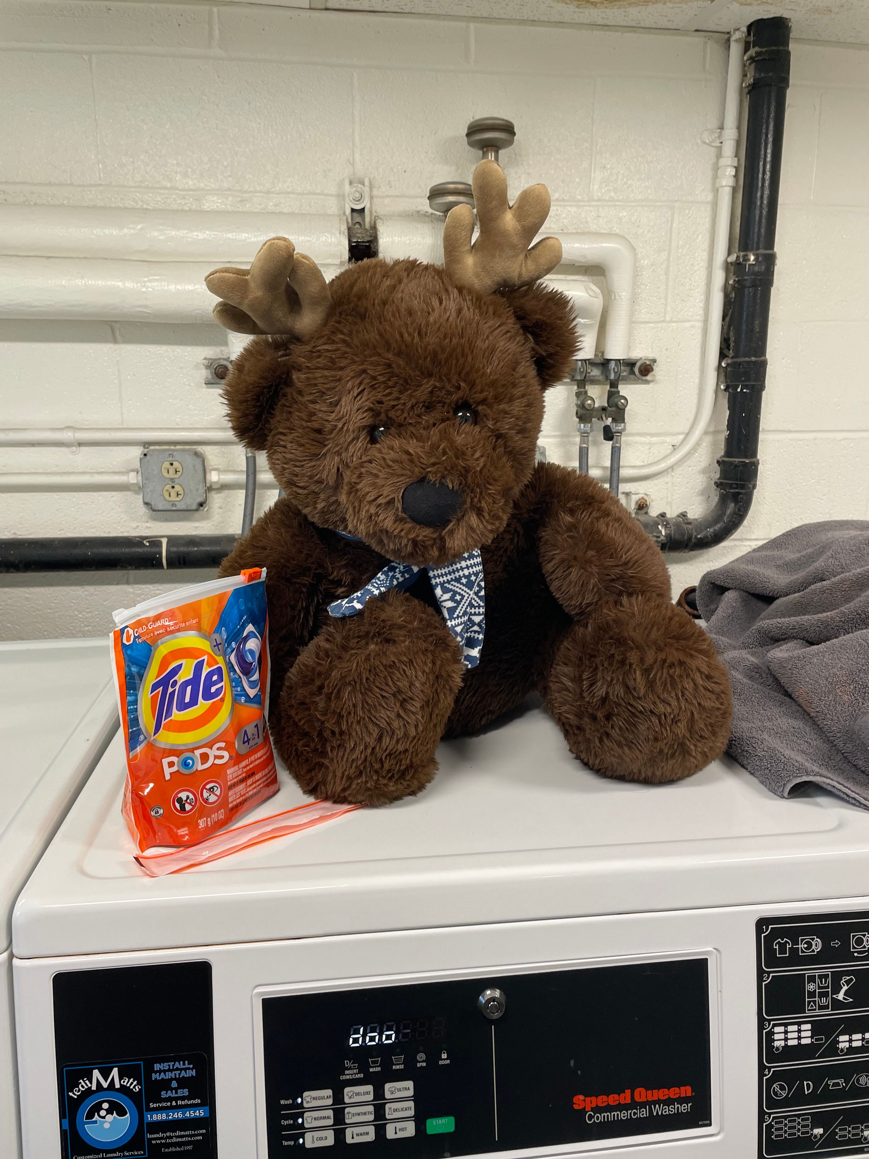 A fluffy brown plush toy, resembling a moose or reindeer with soft antlers and a blue-and-white patterned bandana, sits atop a white commercial washing machine. Its dark, shiny eyes and slightly downturned snout give it a surprisingly contemplative, almost melancholic demeanor, as if burdened by the task at hand. To its left, a bright orange bag of Tide Pods awaits use, while a folded grey towel rests to its right. The background reveals a utilitarian laundry room with white brick walls, exposed pipes, and electrical outlets, emphasizing the mundane setting. The humor lies in this adorable, anthropomorphized creature seemingly engaged in the very adult chore of laundry, perhaps pondering the existential weight of a wash cycle. It's a charmingly absurd scene of a plush toy taking on domestic responsibilities.