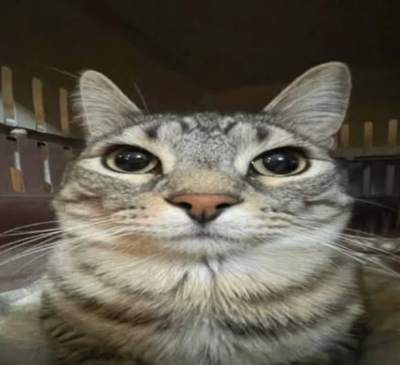 POV: You accidentally open your ex's Instagram, instantly finished