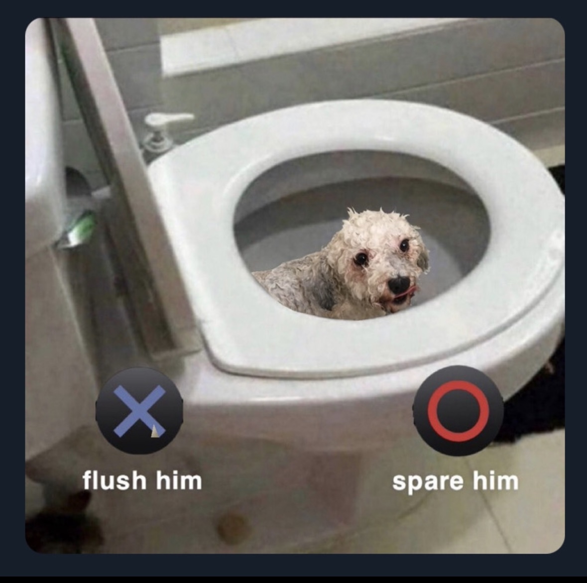 When you tried to adult but took a dive into the toilet.