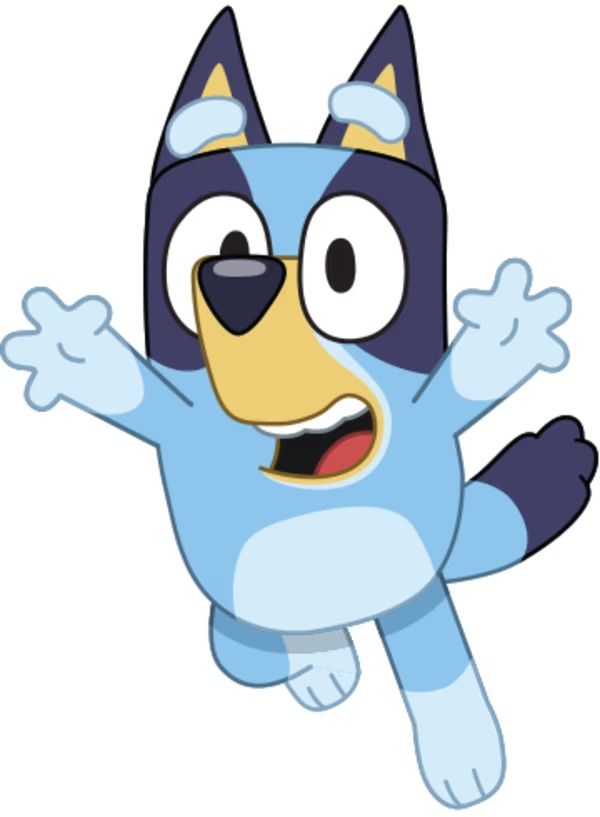 The image captures Bluey Heeler, the energetic blue heeler dog from the popular Australian animated children's series 'Bluey', against a plain white background. Bluey is depicted mid-action, with both arms thrown wide and one leg slightly bent, conveying a sense of exaggerated surprise or exuberant excitement. Her large, wide-open eyes and gaping mouth, revealing a red tongue, give her a comically startled yet joyful demeanor, as if caught in a moment of playful shock or about to burst into laughter. The absence of a detailed background focuses all attention on Bluey's dynamic pose and expressive face, perfectly encapsulating her fun-loving and adventurous spirit from the show. It's a humorous snapshot of Bluey's characteristic cartoonish charm.