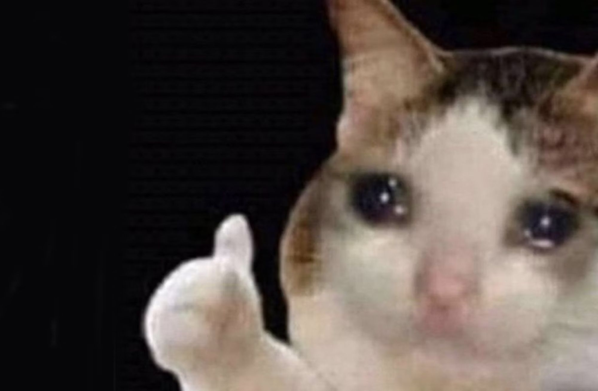 This iconic image features the internet-famous "Crying Cat Thumbs Up" meme, showcasing a domestic cat with a strikingly melancholic demeanor. The cat, primarily white with patches of brown fur on its head and ears, is captured in a close-up against a stark, solid black background. Its large, dark eyes are visibly teary and wide, conveying a profound sense of sadness or distress. However, in a hilariously contradictory gesture, the cat extends a paw, forming a clear and unmistakable thumbs-up. This humorous juxtaposition of deep sorrow and reluctant approval is the essence of the meme, often used to express feigned happiness or resigned acceptance in unfortunate circumstances. The plain background ensures all attention remains on the cat's comically conflicted expression.