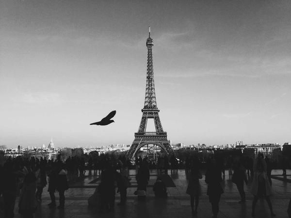 Sisyphus built this tower; the bird refuses the push.