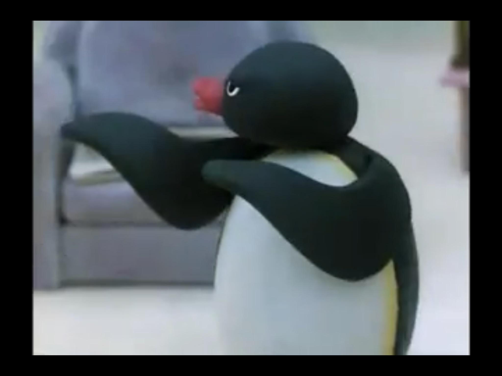 When you're out here chasing dreams, but they just waddle away.