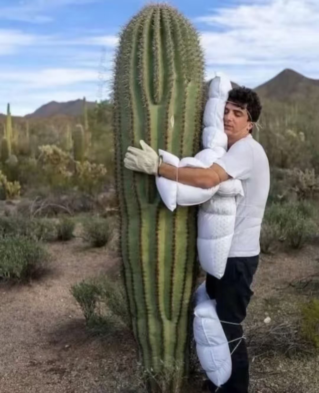 Influencers doing anything for those succulent likes.