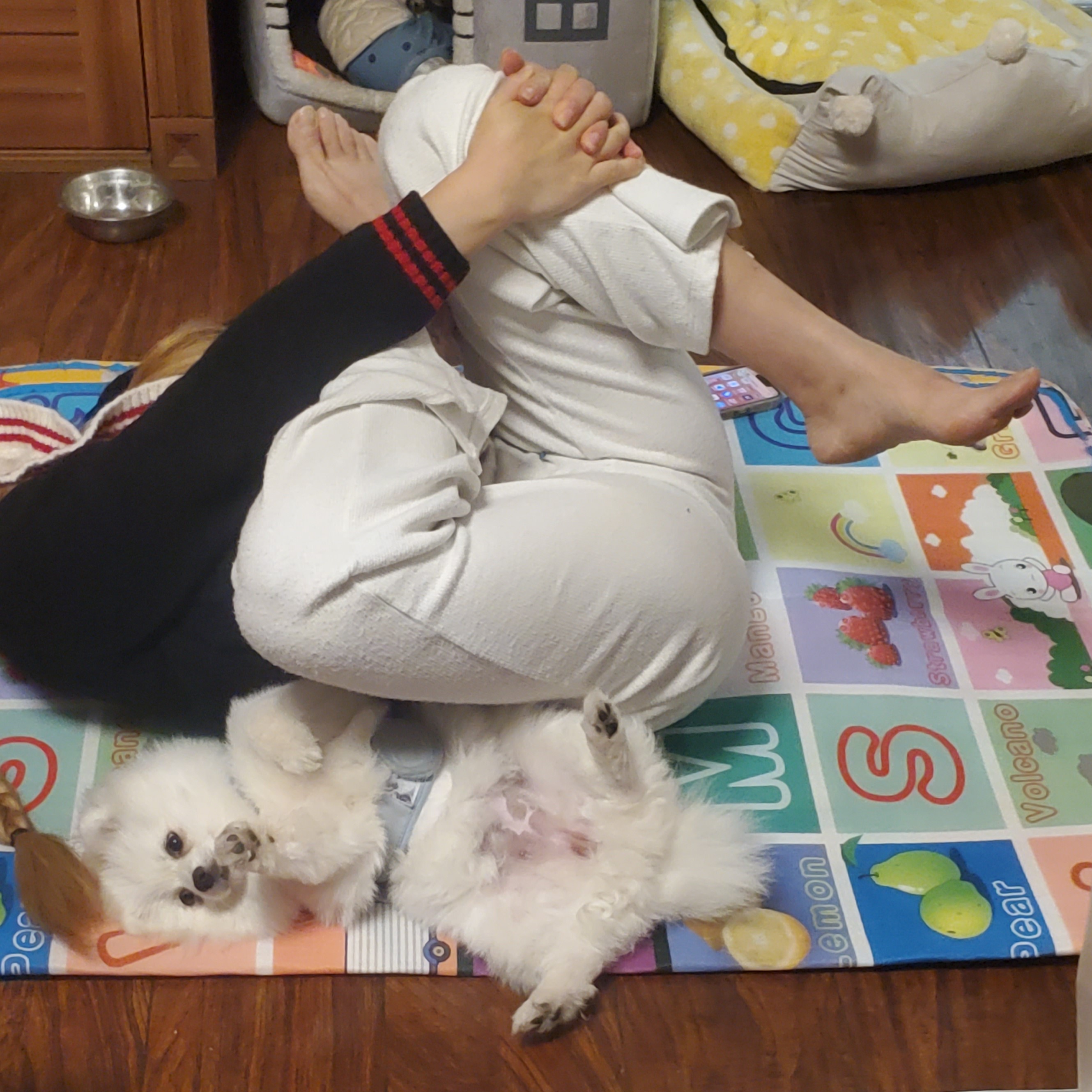 When your dogs do yoga better than you.