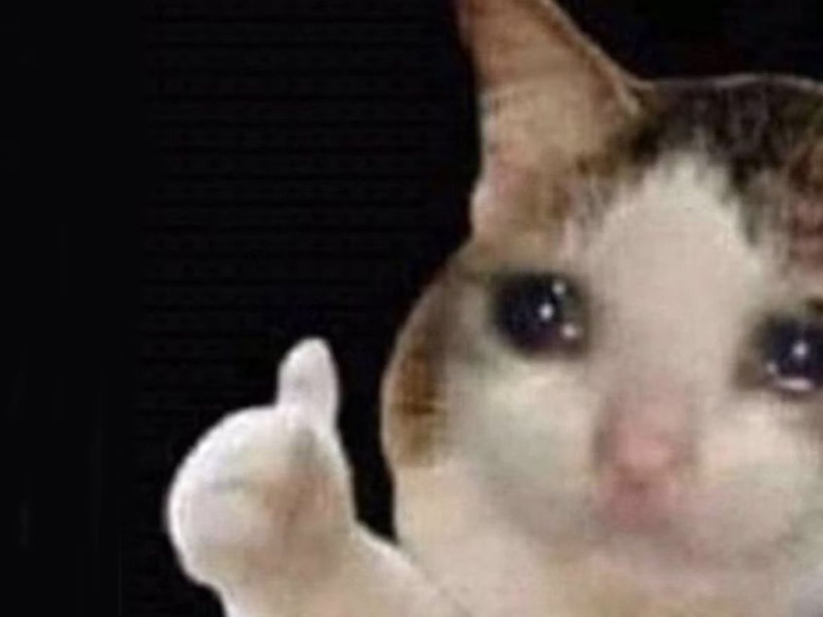 The image features a cat with a notably expressive demeanor, seemingly giving a thumbs-up gesture. This playful pose, combined with the cat's wide, soulful eyes, presents an amusing blend of approval and irony, typical of internet meme culture. The dark background emphasizes the cat, drawing attention to its quirky expression, enhancing the humor.

This scene is a well-known meme, often used to convey agreement or a sarcastic acknowledgment, making it relatable in various contexts. The cat’s earnest gaze coupled with the thumbs-up creates a delightful juxtaposition, suggesting it’s both supportive and cheeky. This humorous element resonates well with audiences, making it a popular choice for sharing light-hearted sentiments online. Overall, the image captures a moment of feline charm and wit, embodying the playful spirit of internet humor.