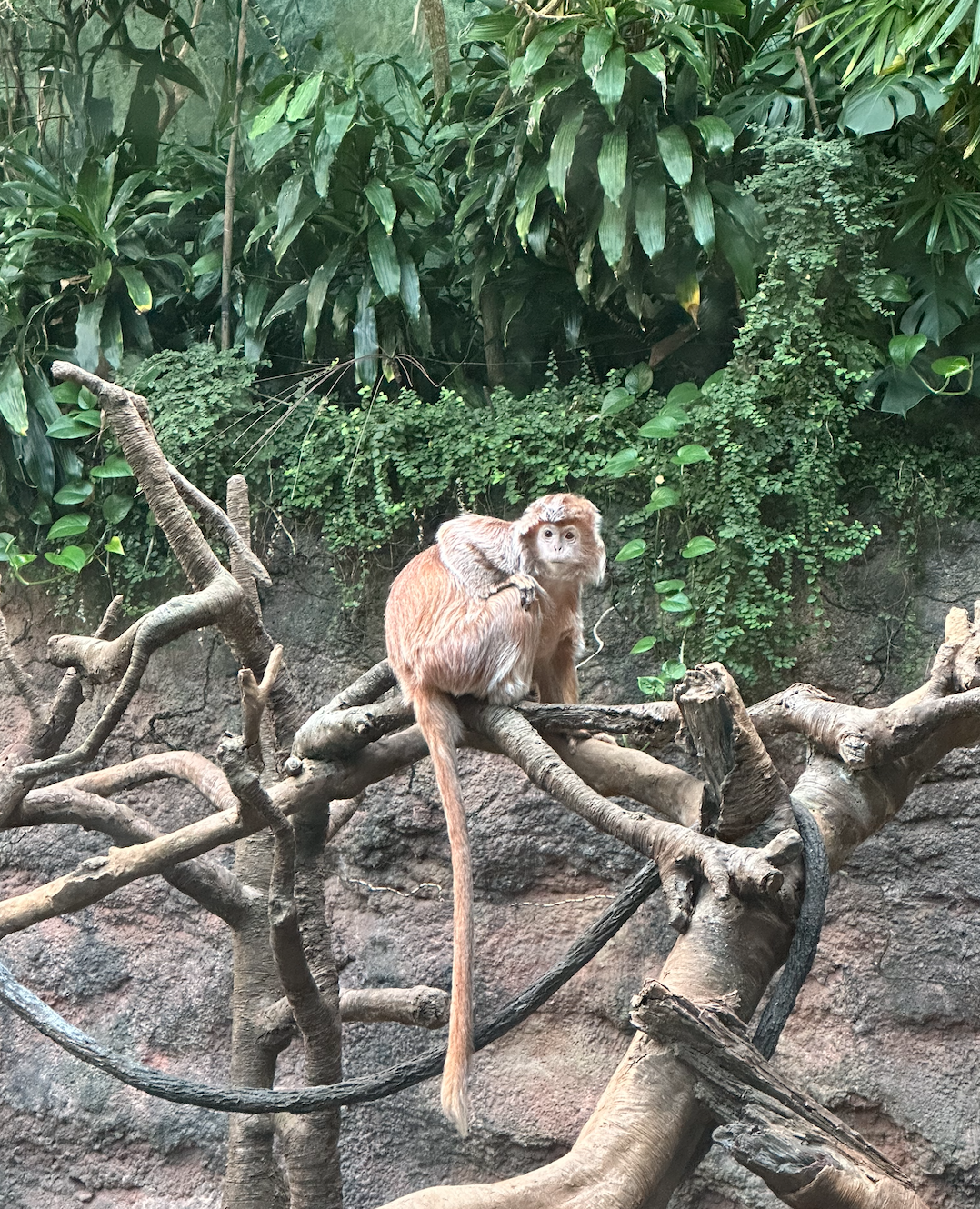 When you spot your ex at the jungle gym.